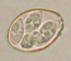 Thumbs/tn_INT112.jpg