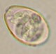 Thumbs/tn_INT120.jpg