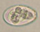 Thumbs/tn_INT137.jpg