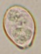Thumbs/tn_INT141.jpg
