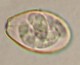 Thumbs/tn_INT142.jpg