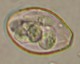 Thumbs/tn_INT166.jpg