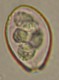 Thumbs/tn_INT168.jpg