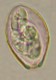 Thumbs/tn_INT175.jpg