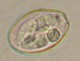 Thumbs/tn_INT181.jpg