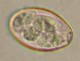 Thumbs/tn_INT182.jpg