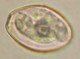 Thumbs/tn_INT195.jpg