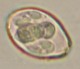 Thumbs/tn_INT257.jpg