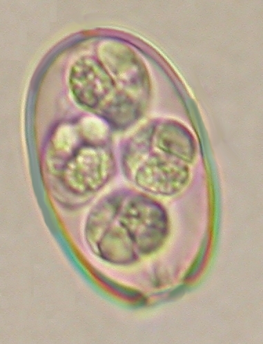../Images/IRR101.jpg