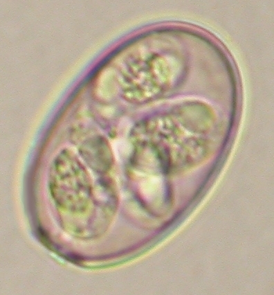 ../Images/IRR104.jpg