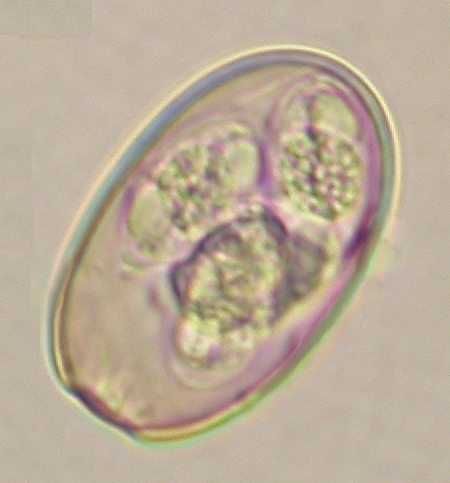 ../Images/IRR113.jpg
