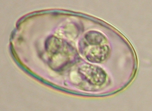 ../Images/IRR119.jpg