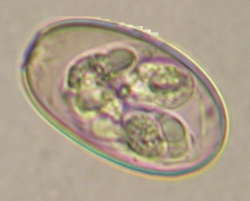 ../Images/IRR194.jpg