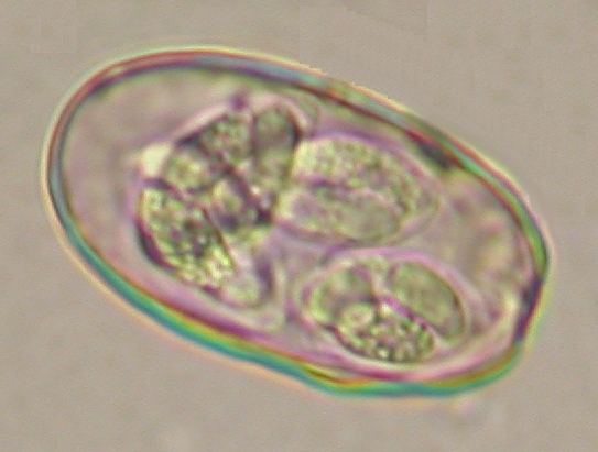 ../Images/IRR302.jpg