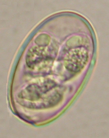 ../Images/IRR303.jpg