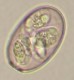 Thumbs/tn_IRR104.jpg