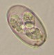 Thumbs/tn_IRR107.jpg