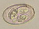 Thumbs/tn_IRR110.jpg