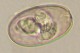 Thumbs/tn_IRR112.jpg
