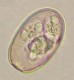 Thumbs/tn_IRR113.jpg
