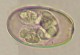 Thumbs/tn_IRR114.jpg