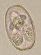 Thumbs/tn_IRR120.jpg