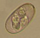 Thumbs/tn_IRR123.jpg