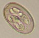 Thumbs/tn_IRR134.jpg