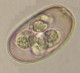 Thumbs/tn_IRR140.jpg