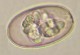 Thumbs/tn_IRR144.jpg
