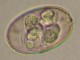 Thumbs/tn_IRR148.jpg