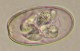 Thumbs/tn_IRR150.jpg