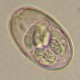 Thumbs/tn_IRR151.jpg