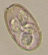 Thumbs/tn_IRR154.jpg
