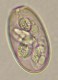 Thumbs/tn_IRR192.jpg