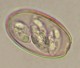 Thumbs/tn_IRR193.jpg