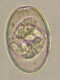 Thumbs/tn_IRR198.jpg