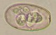 Thumbs/tn_IRR201.jpg