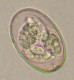 Thumbs/tn_IRR202.jpg