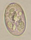 Thumbs/tn_IRR205.jpg