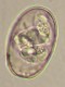 Thumbs/tn_IRR206.jpg