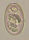 Thumbs/tn_IRR209.jpg