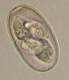Thumbs/tn_IRR210.jpg