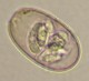 Thumbs/tn_IRR213.jpg