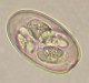 Thumbs/tn_IRR220.jpg