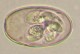 Thumbs/tn_IRR221.jpg