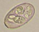 Thumbs/tn_IRR235.jpg