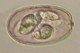 Thumbs/tn_IRR244.jpg
