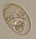 Thumbs/tn_IRR264.jpg