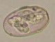 Thumbs/tn_IRR275.jpg